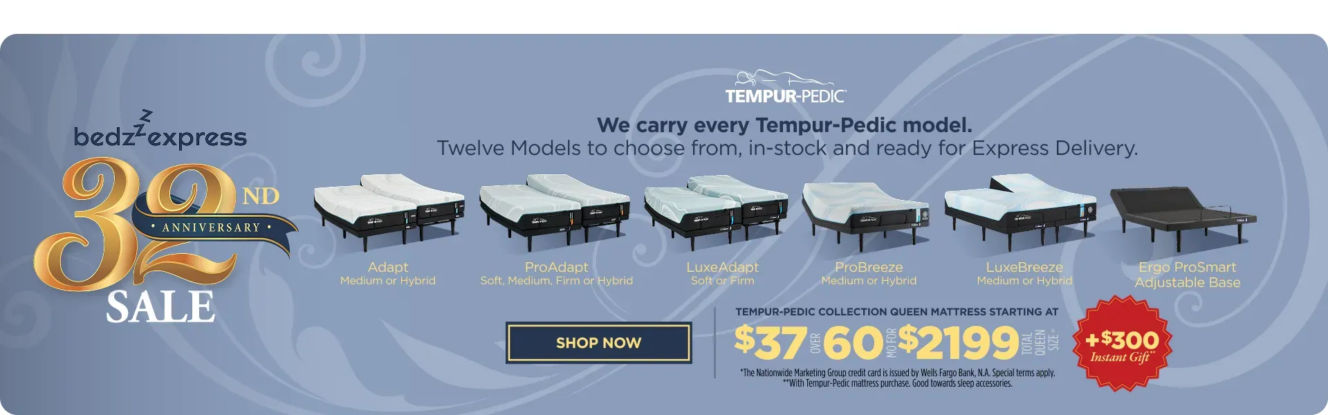 Anniversary TempurPedic